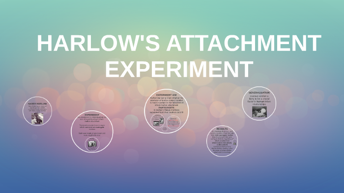 harlow experiment quizlet