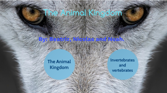 The Animal Kingdom by Beatriz Gantier Callejo