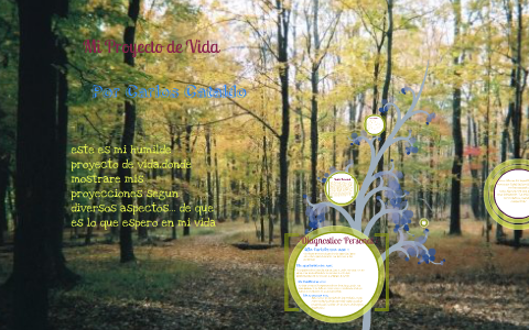 Mi Proyecto de Vida by carlos cataldo on Prezi