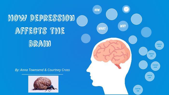 Depression Affects The Brain By Anna Townsend On Prezi