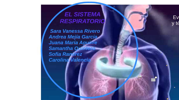 EL SISTEMA RESPIRAT by sara rivero