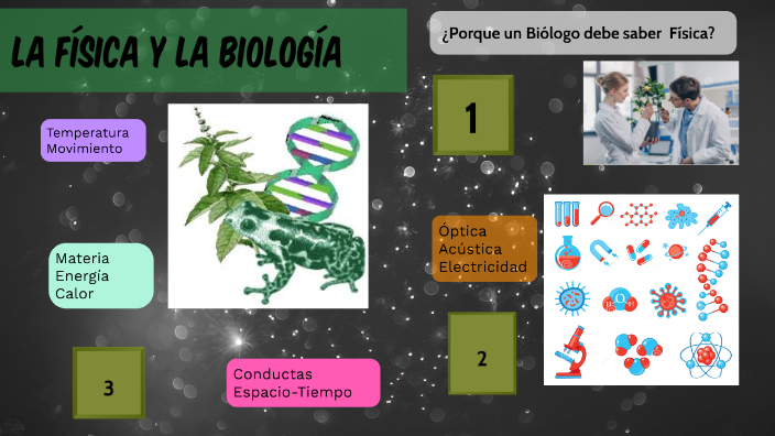 La Física y la Biología by selena González Hernández on Prezi