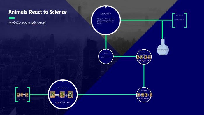 Chemical Reaction Types by Michelle Moore on Prezi