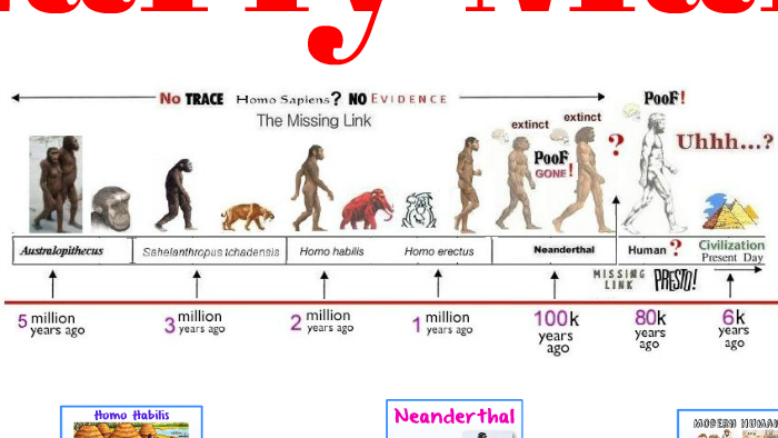 Таблица homo. Хомо сапиенс и австралопитек. Хомо сапиенс Эволюция. Хомо хабилис хомо сапиенс таблица. Этапы эволюции homo sapiens таблица.