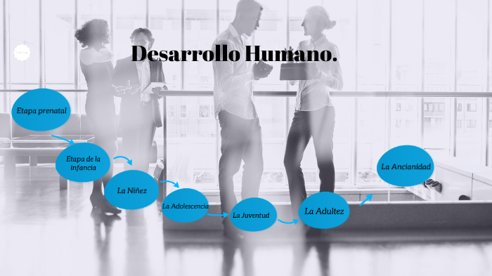 etapas del desarrollo humano by andrea fierro osorio on Prezi