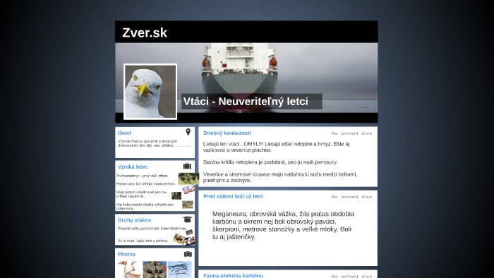 Obrovské veľké vtáky