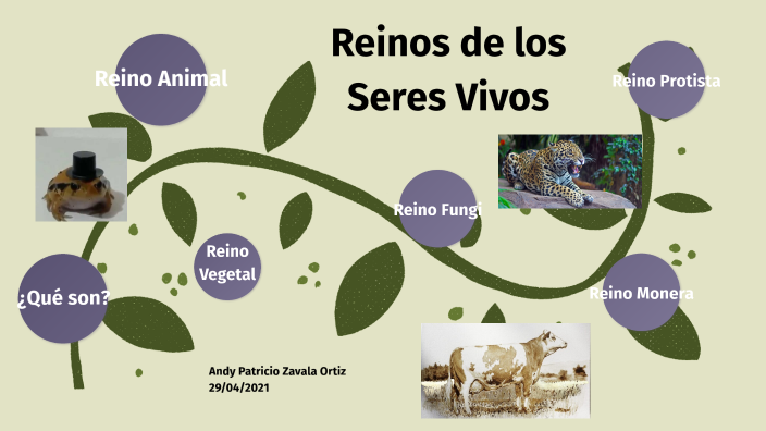 Reinos de los seres vivos. Elaboración de presentaciones by Turiex ...