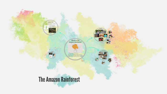 The Amazon Rainforest by on Prezi