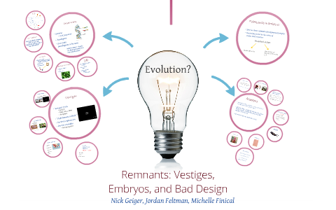 Why Evolution is True by Nick Geiger on Prezi