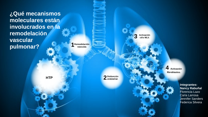 ¿Qué mecanismos moleculares están involucrados en la remodelación ...