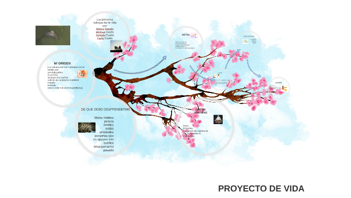 PROYECTO DE VIDA by tatiana castro rosero on Prezi