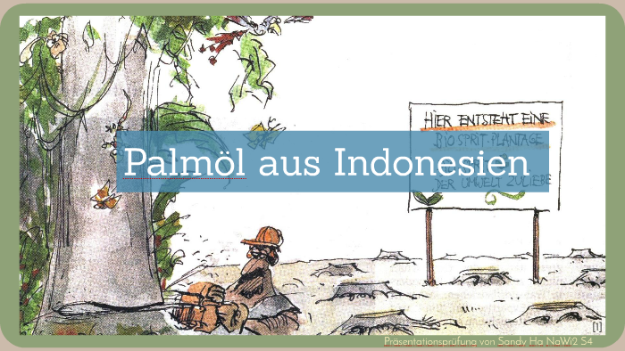 Palmol Aus Indonesien By Sandy Ha On Prezi Next