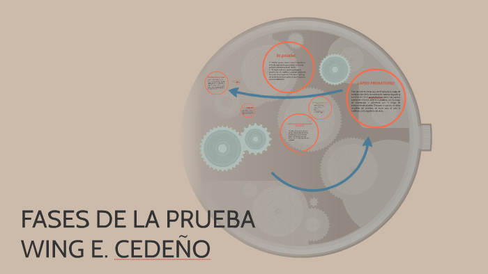 FASES DE LA PRUEBA by Winer Wec