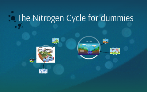 The Nitrogen Cycle by Amanda Prizant on Prezi