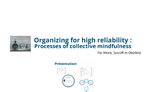 Présentation Risque et Organisation by Alexandre Auger on Prezi