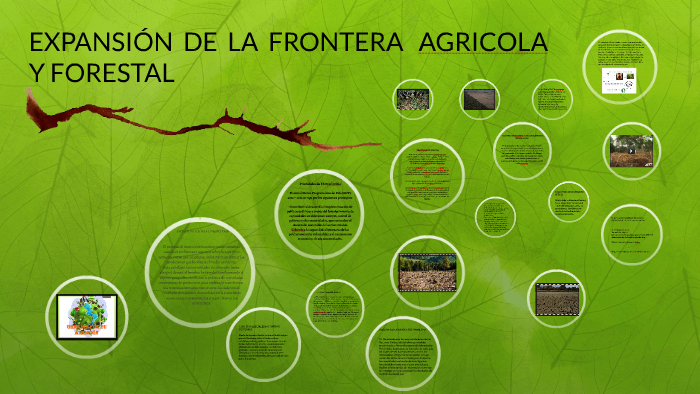 EXPANSIÓN DE LA FRONTERA AGRICOLA Y DEFORESTACION by Yohelmy Arias