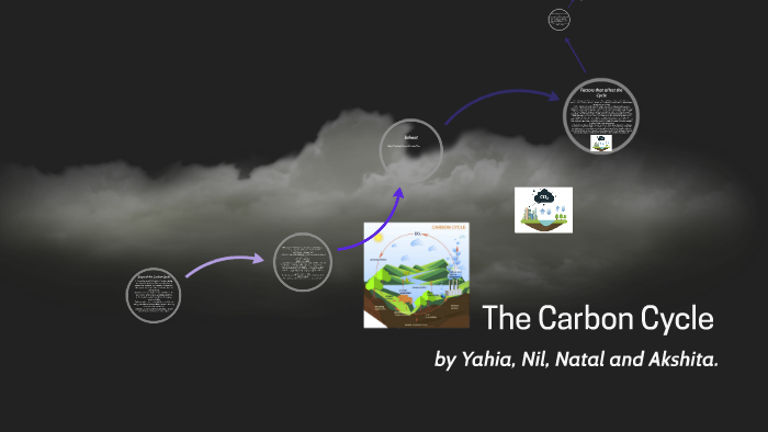 The Carbon Cycle by natal koleilat on Prezi