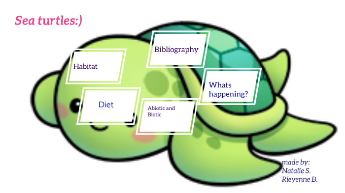 Sea turtles by Nattaly Sornchom on Prezi
