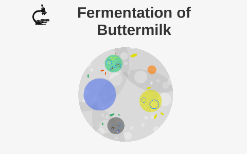 Fermentation of Buttermilk by Alexis Moore - Opwf6pph37zaxn2gn7vctyav5D6jc3sachvcDoaizecfr3Dnitcq 3 0