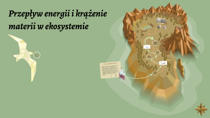 Krążenie Materii W Ekosystemie Przepływ energii i krążenie materii w ekosystemie by Wiktoria Lacelt on