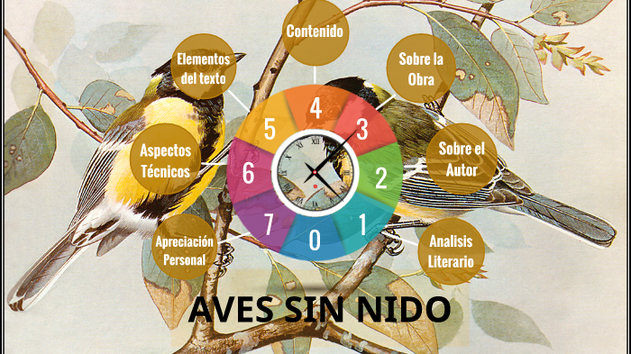 Aves sin Nido by caren polo on Prezi