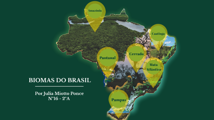 BIOMAS DO BRASIL by Julia Miotto Ponce on Prezi