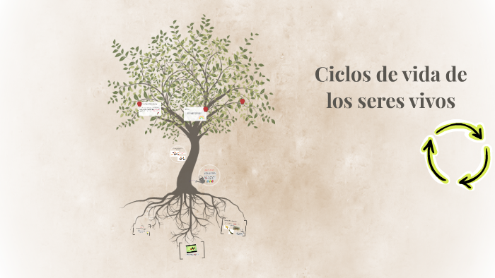 Ciclos de vida de los seres vivos by Vega Zenia