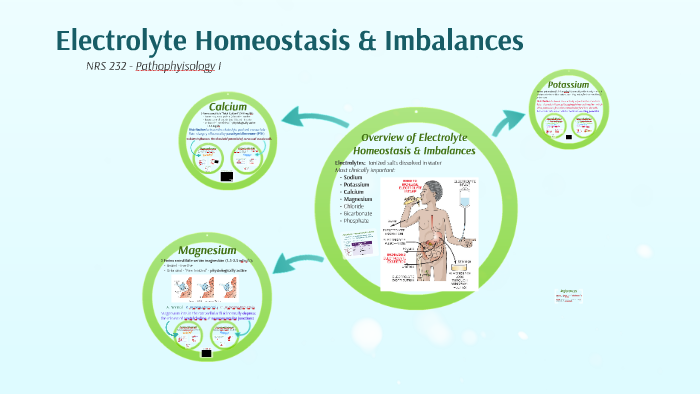 Electrolyte Homeostasis & Imbalances by Katrina Dielman on Prezi