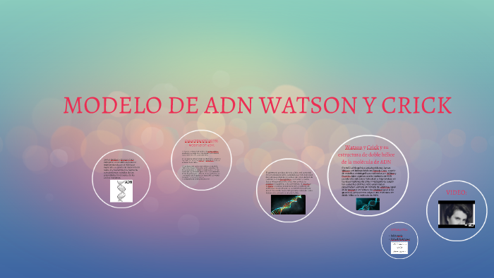 MODELO DE WATSON Y CRICK by lizbeth rodriguez