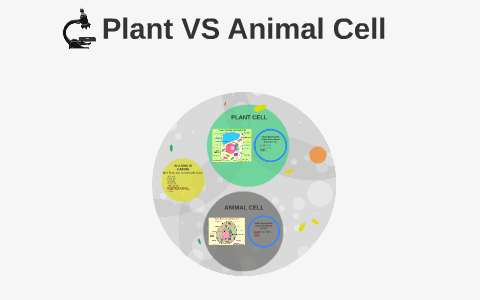 Plant Cells Vs Animal Cells by Natasha McKinnon on Prezi