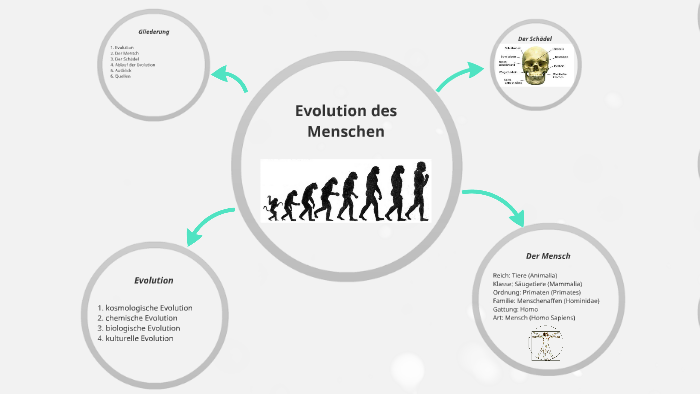 Evolution Des Menschen Zusammenfassung Pdf prezi.com