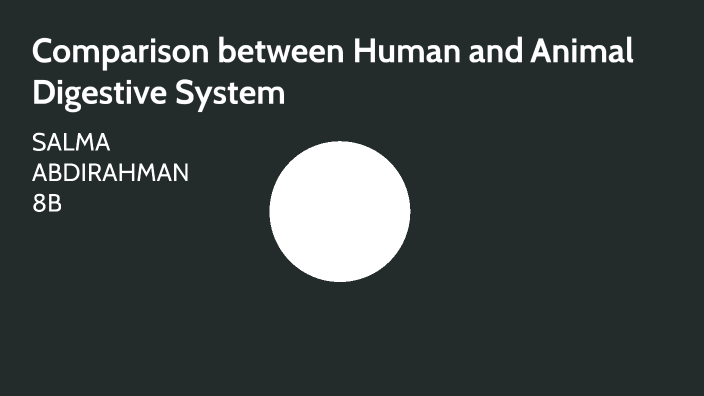 comparison-between-human-and-animal-digestive-system-by-salma-abdirahman