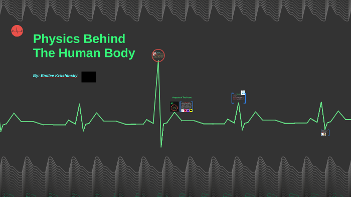Physics behind The Human Body by Emilee Krushinsky on Prezi