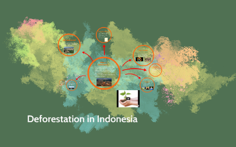 indonesia deforestation case study