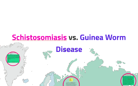 Schistomiasis And Guinea Worm Disease By Avery Boyle