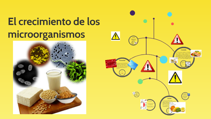 El crecimiento de los microorganismos by Tatiana Díaz Pérez on Prezi