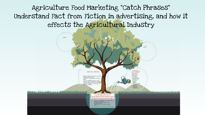 Food Marketing "Catch Phrases" by Kelly Sanches
