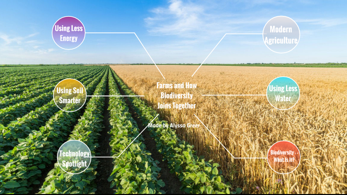 Biodiversity on Agriculture and Farmers by Alyssa Greer