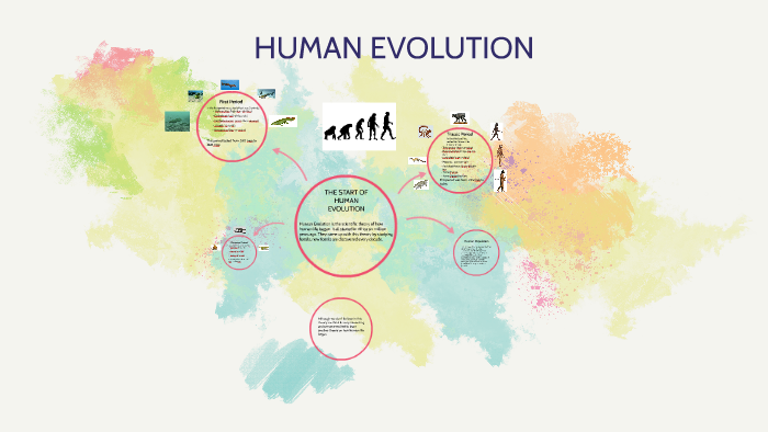 HUMAN EVOLUTION: by Logan Isabelle on Prezi