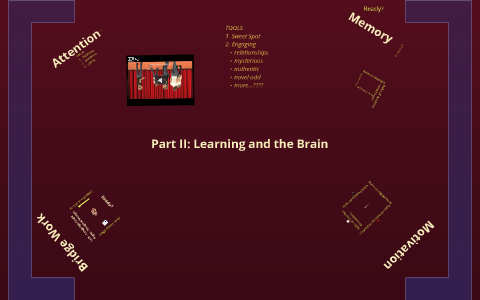 Part II: Learning and the Brain by Alex Liuzzi on Prezi