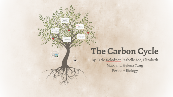 Carbon Cycle Presentation by Kate K on Prezi