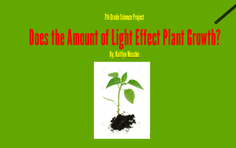 Does The Amount Of Light Effect Plant Growth? By Kaitlyn Wesche On Prezi