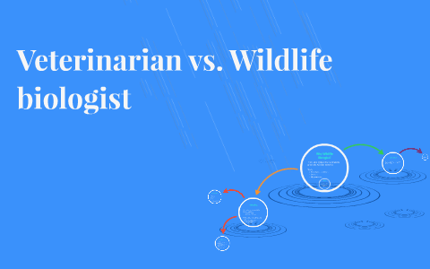 Vet vs. Wildlife Biologist by Brittany Stevens