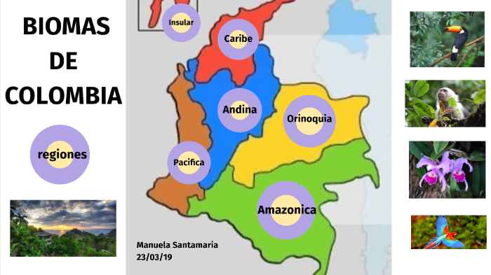 Biomas de Colombia by Manuela Santamaria Pinzón on Prezi