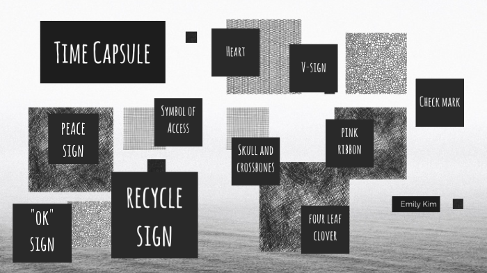 The Capsule by Emily Kim on Prezi