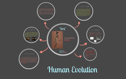 Human Evolution by Deja Craig on Prezi