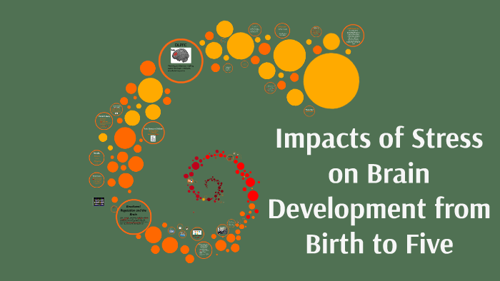 The Impact of Stress on Brain Development from Birth to Five by Molly ...