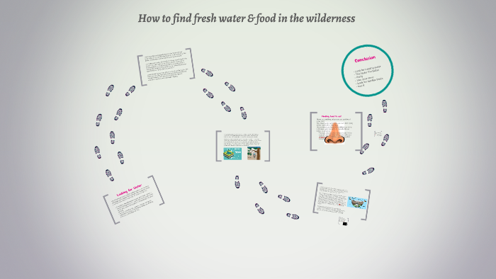 how-to-find-fresh-water-food-in-the-wilderness-by-kaylin-pegues