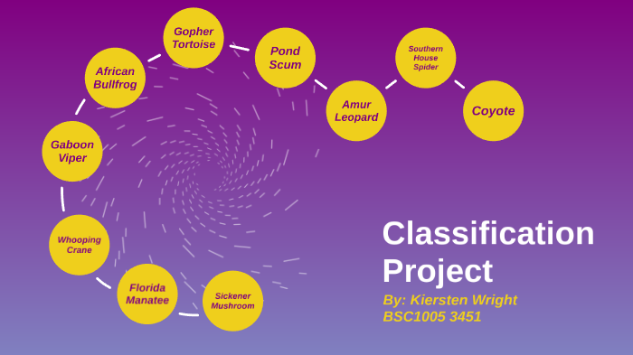 Classification Project by Kiersten W. on Prezi
