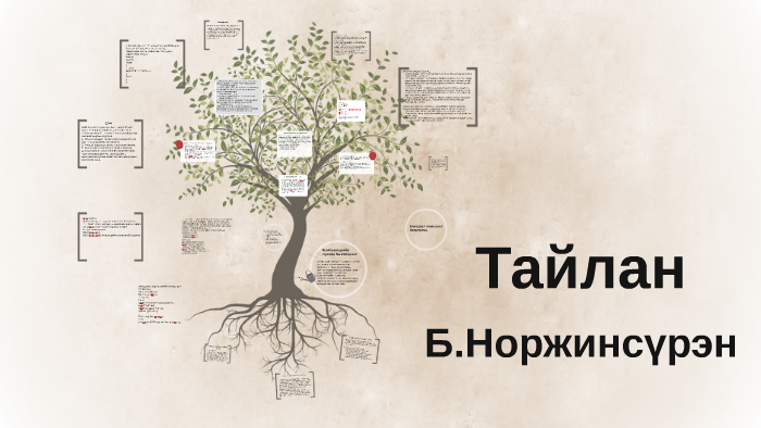 Мэдээллийн системийн үндэс by Баярсайхан Норжинсүрэн on Prezi Next
